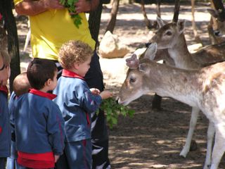 Llar d'infants L'Esquirol Girona