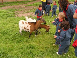 Llar d'infants L'Esquirol Girona